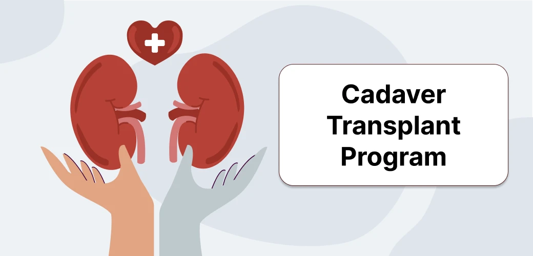 Cadaver Kidney Transplant Program