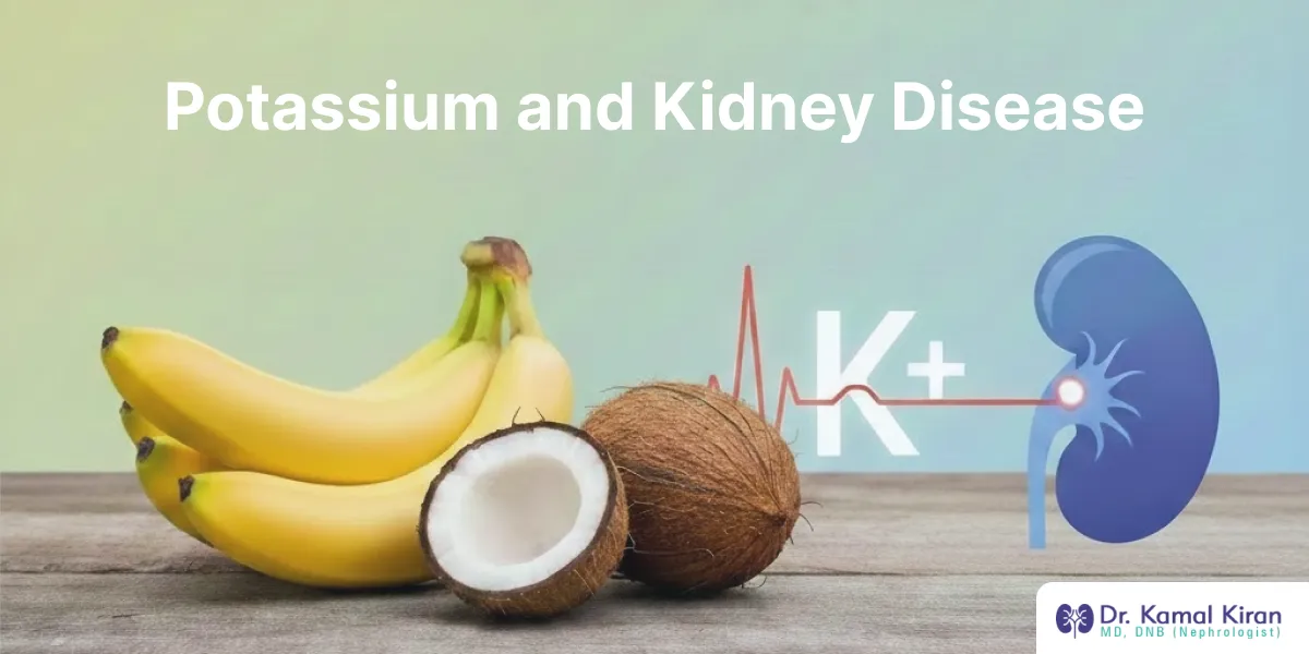  Potassium and Kidney Disease