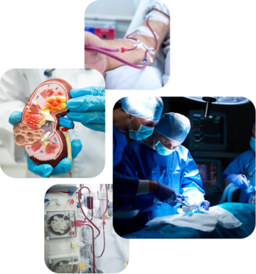 home Links side image