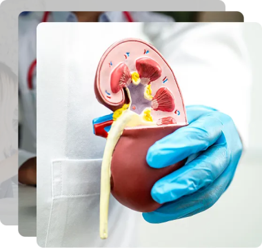 Kidney Specialist